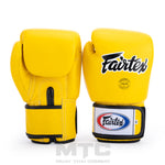 Fairtex Premium Boxing Gloves